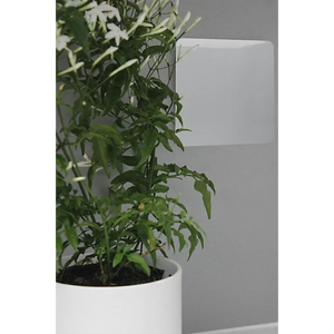 Trendi Single Blank Plate - Silver | 9101-09
