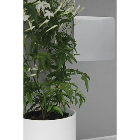 Trendi Single Blank Plate - Silver | 9101-09