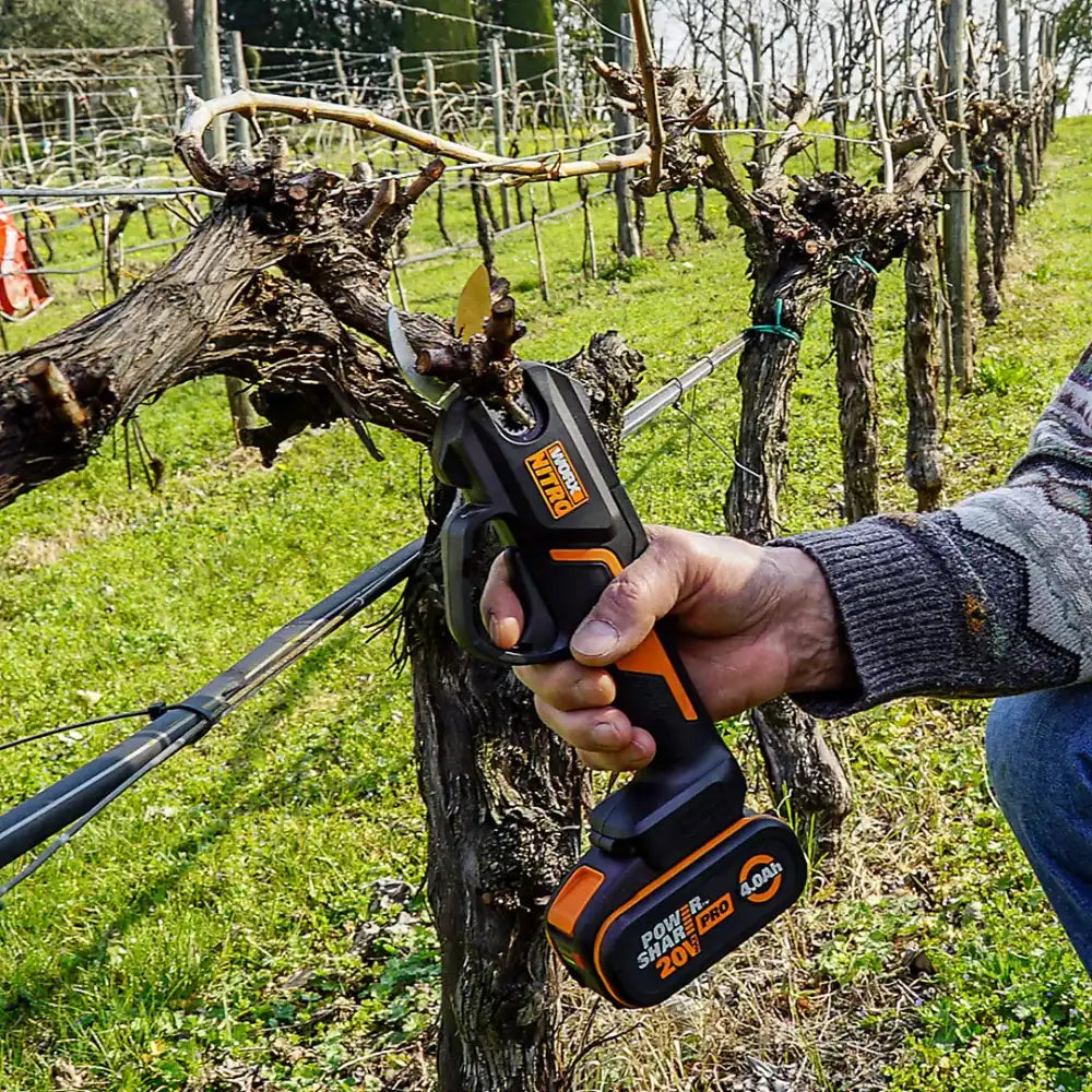 Person holding black and orange Worx 20V cordless pruner shears with battery attached, demonstrating use on grapevine in vineyard with support structures and green grass visible in background